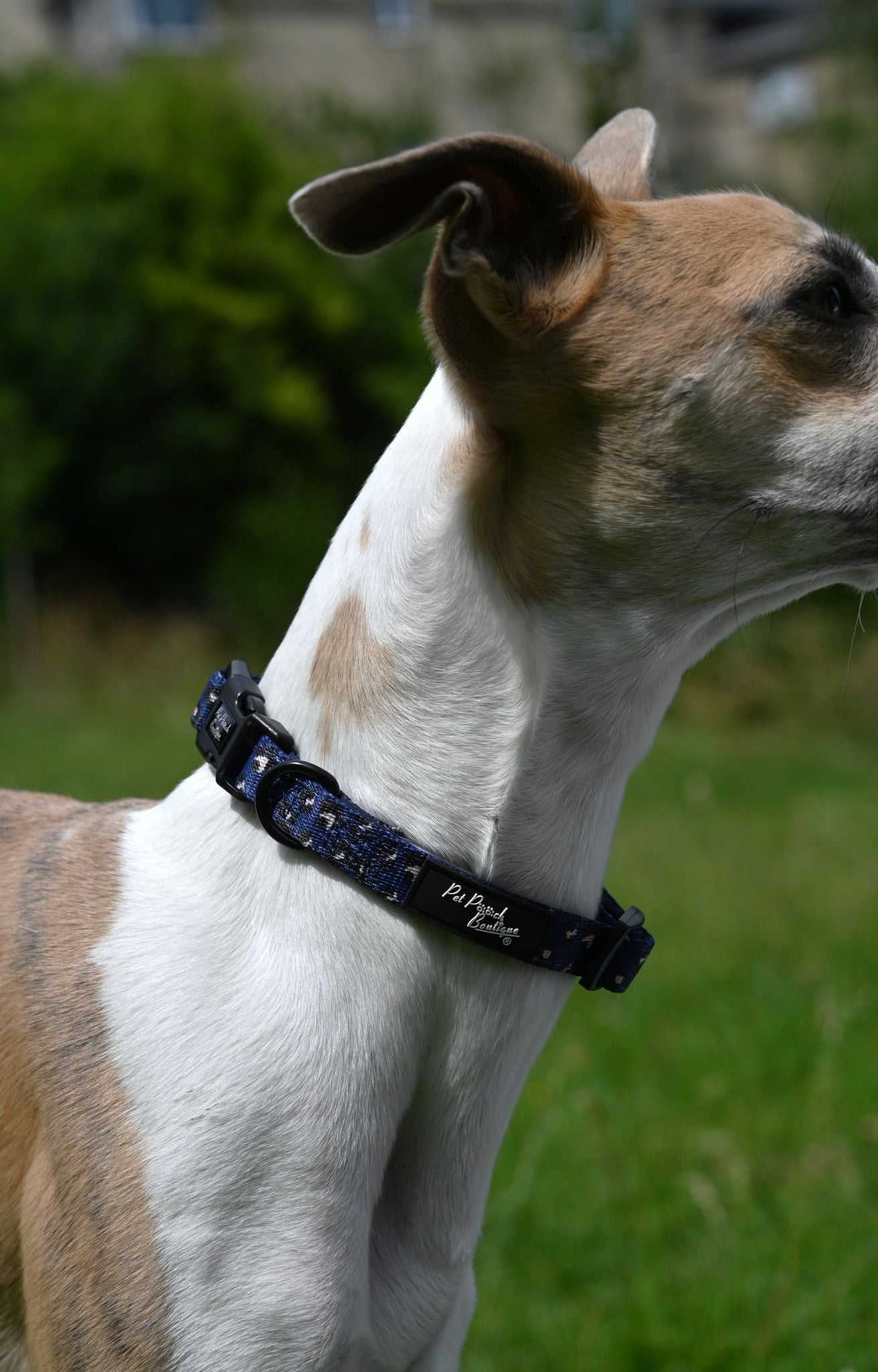 Small Navy Leopard Handmade Webbing Collar