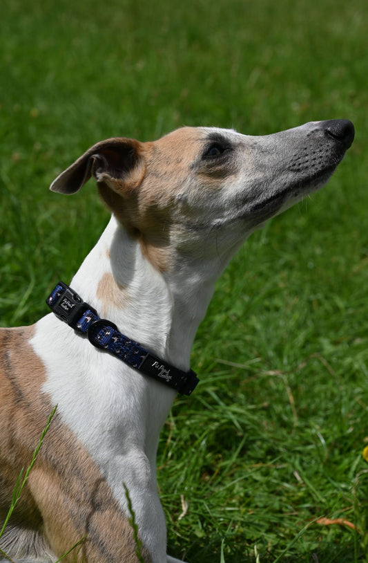 Extra Small Navy Leopard Handmade Webbing Collar