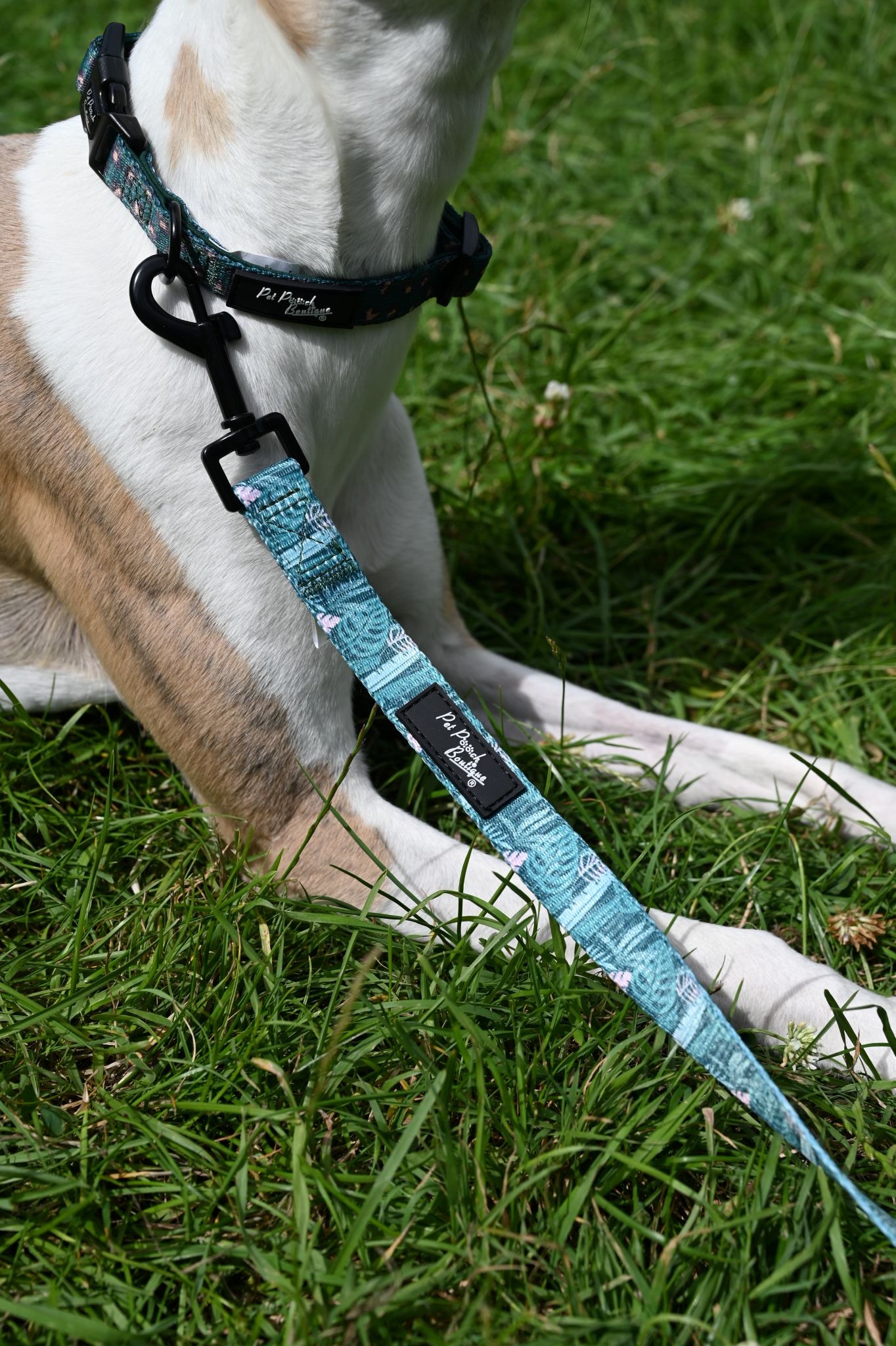 Teal Jungle Handmade Webbing Lead