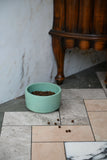 Coloured Concrete Dog Bowls