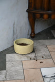 Coloured Concrete Dog Bowls