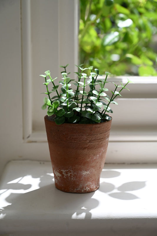 Tiny Faux Peperomia Plant