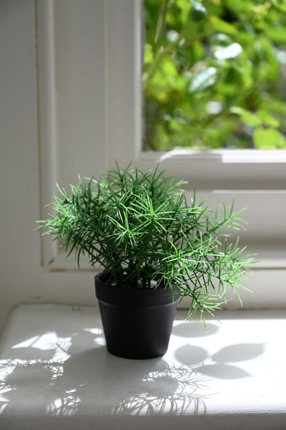 Tiny Faux Asparagus Plant