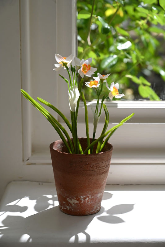 Faux White Daffodil Bulb