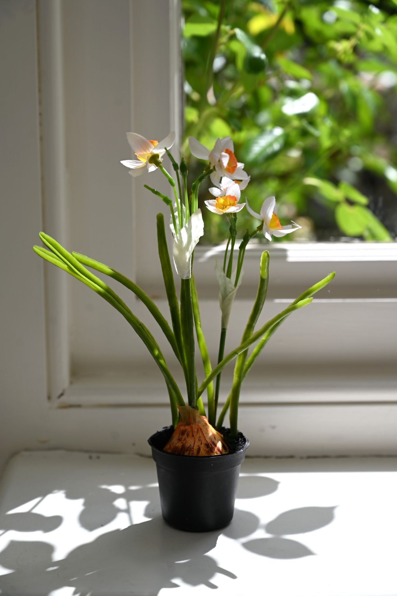 Faux White Daffodil Bulb