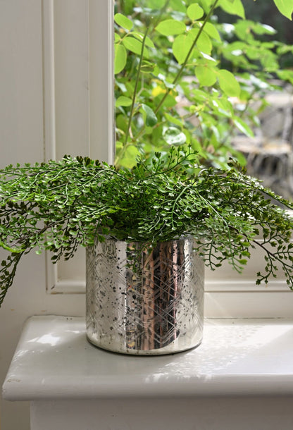 Faux Maidenhair Fern
