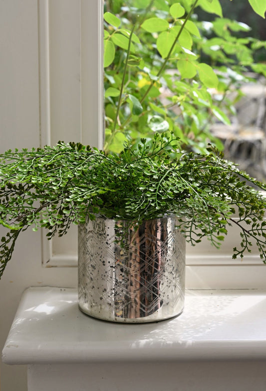 Faux Maidenhair Fern