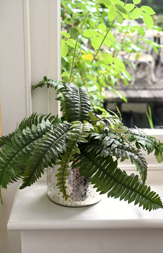 Boston Fern Faux Plant