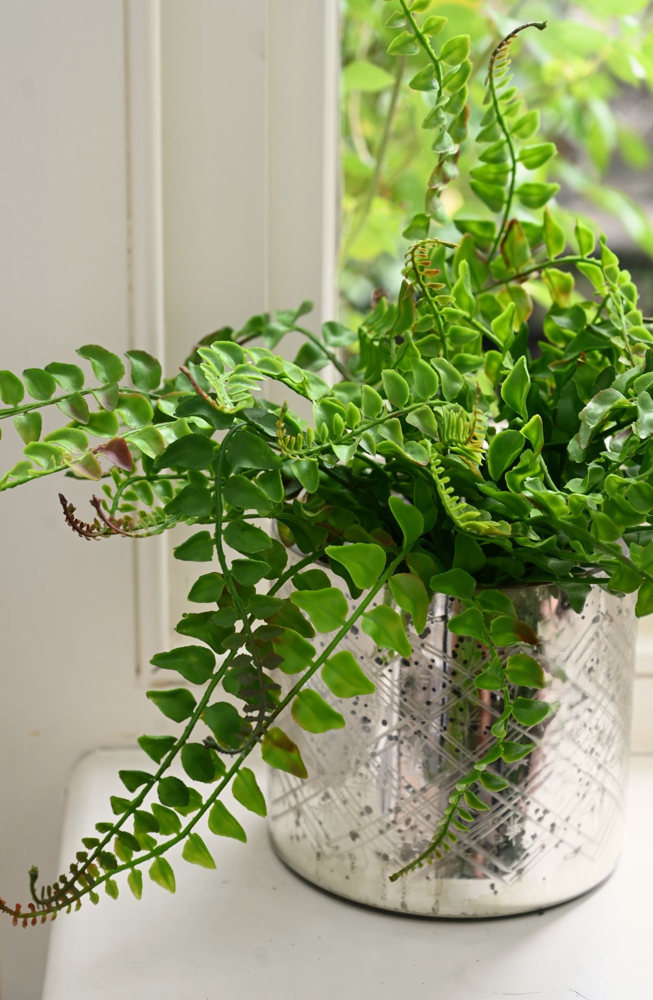 Small Faux Leatherleaf Fern Plant