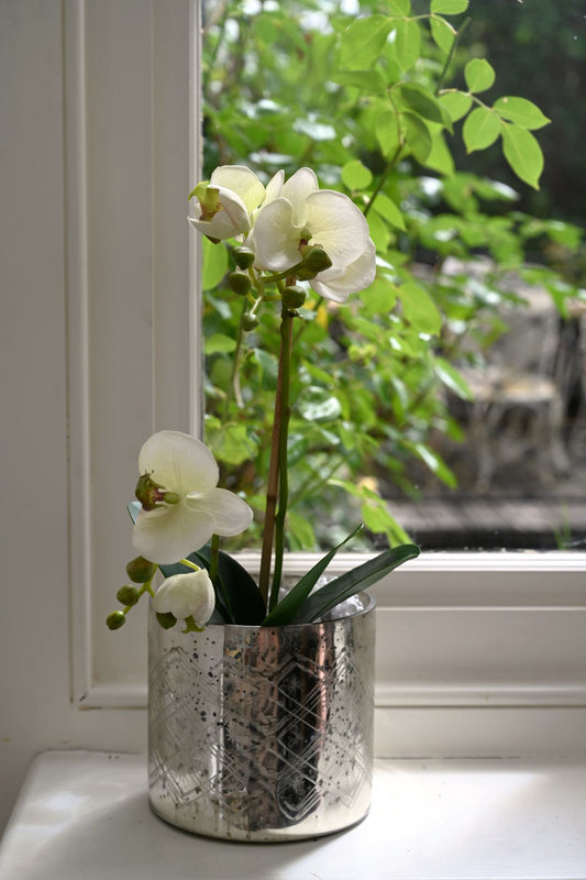 White orchid in a silver pot on a windowsill with greenery outside.