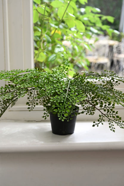 Faux Maidenhair Fern