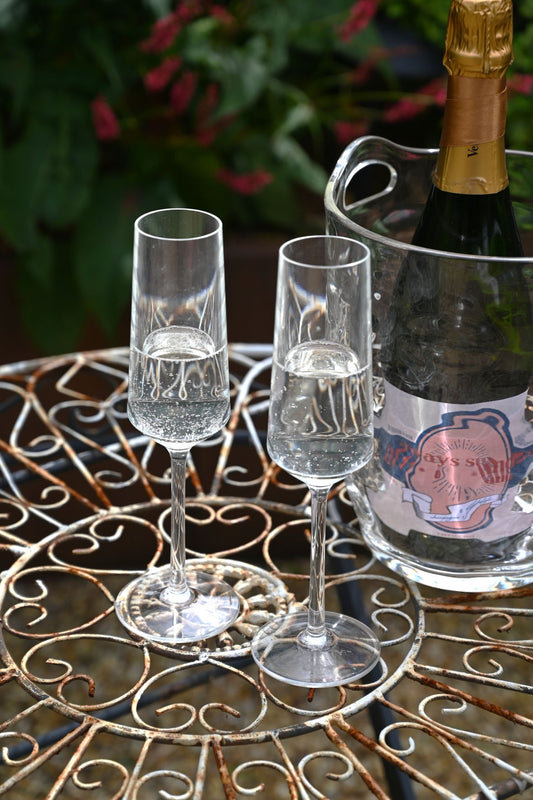 Verre à flûte de pique-nique transparent 
