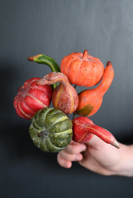 Hand holding a collection of colorful gourds against a dark background
