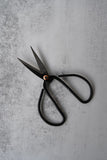 Medium Iron Scissors