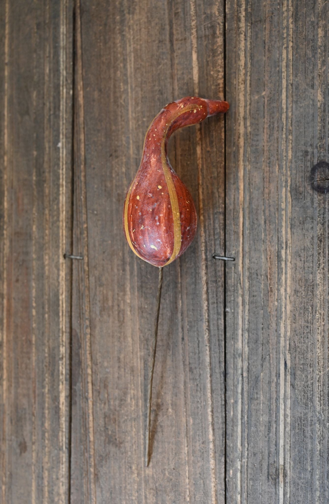 Gourd on a wooden surface