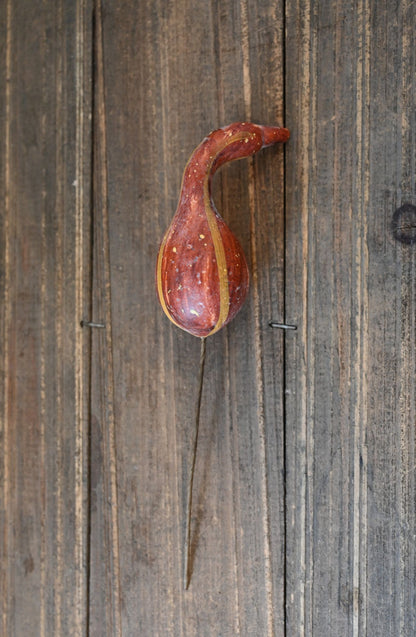 Gourd on a wooden surface
