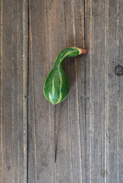 Green gourd on a wooden surface