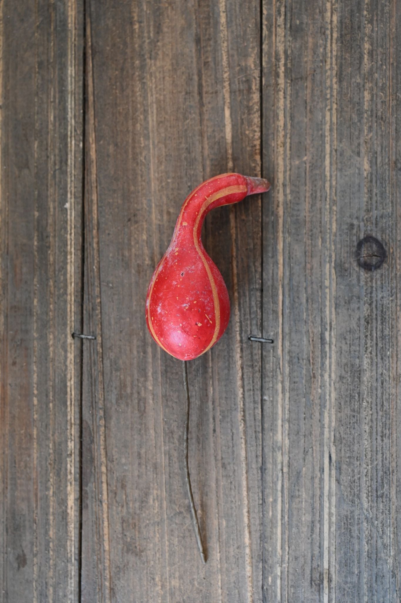 Red gourd on a wooden surface