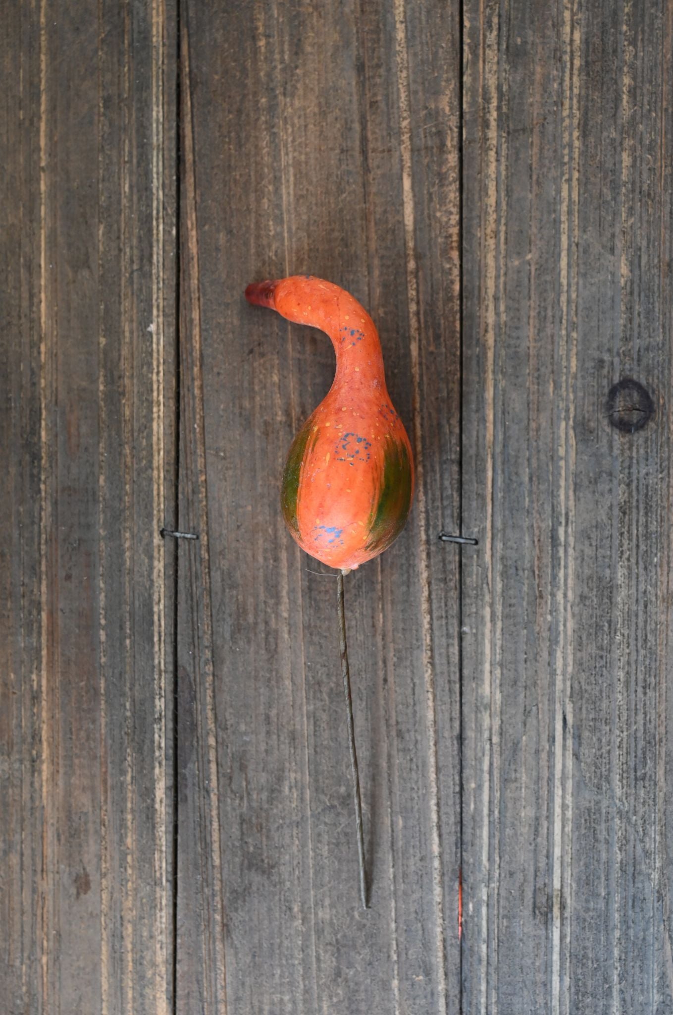 orange gourd on a wooden surface