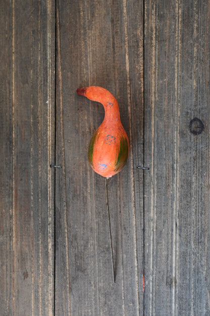 orange gourd on a wooden surface