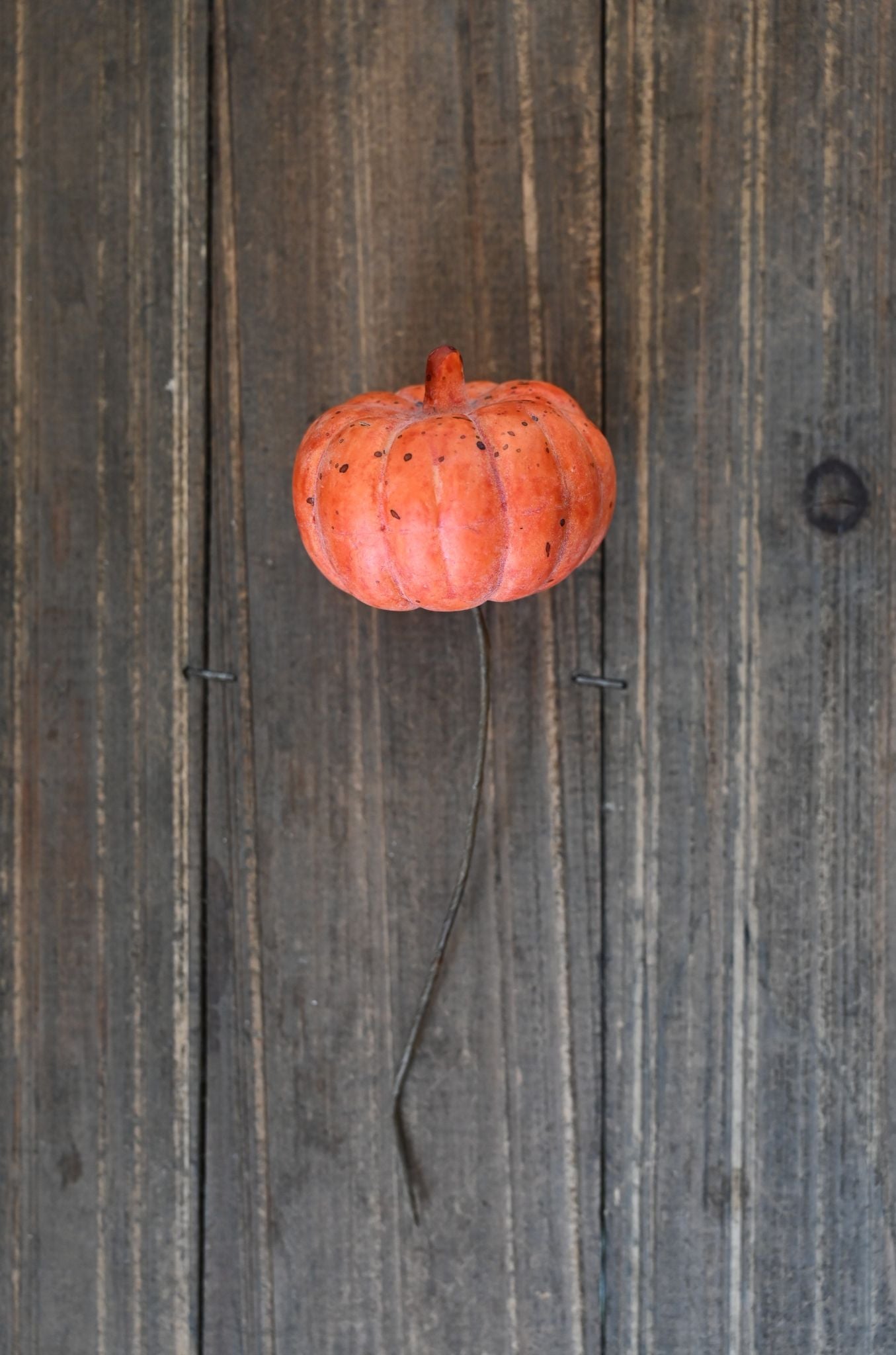 Small orange pumpkin on a wooden surface