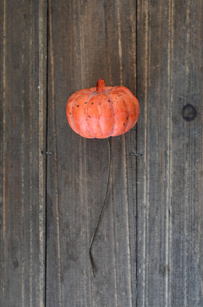 Small orange pumpkin on a wooden surface