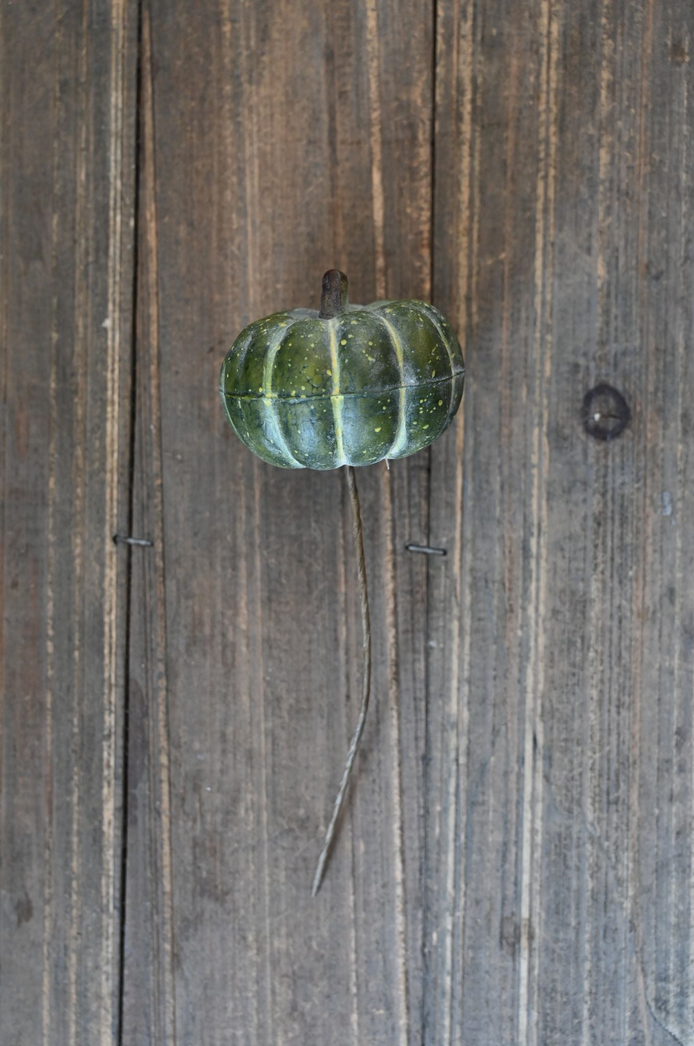 Green pumpkin on a wooden surface