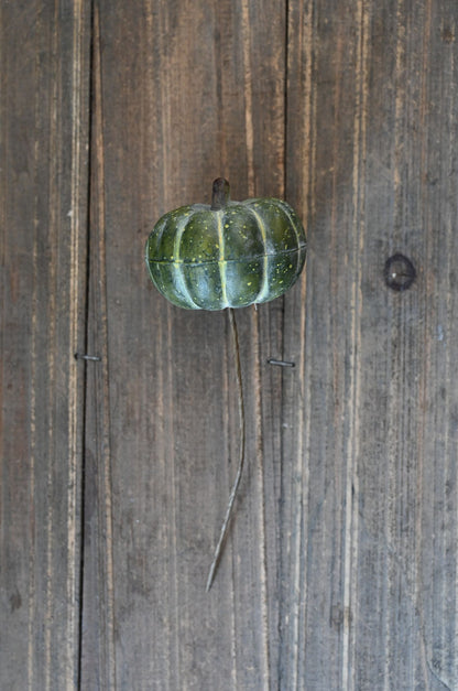 Green pumpkin on a wooden surface