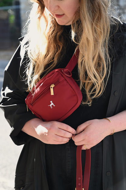 3-in-1 Dog Walking Pochette