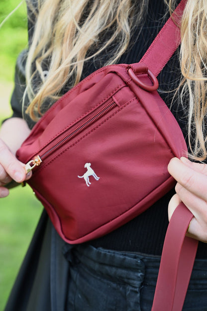 3-in-1 Dog Walking Pochette