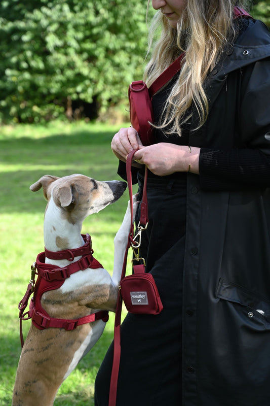 No Pull Dog Harnesses