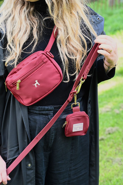 3-in-1 Dog Walking Pochette