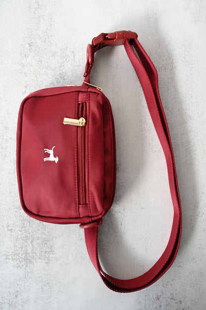 3-in-1 Dog Walking Pochette