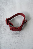 Waterproof Dog Collars