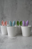 Blue Bunny Ears Ceramic Plant Pot