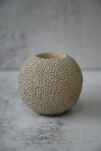 Ivory Urchin Tealight Holder