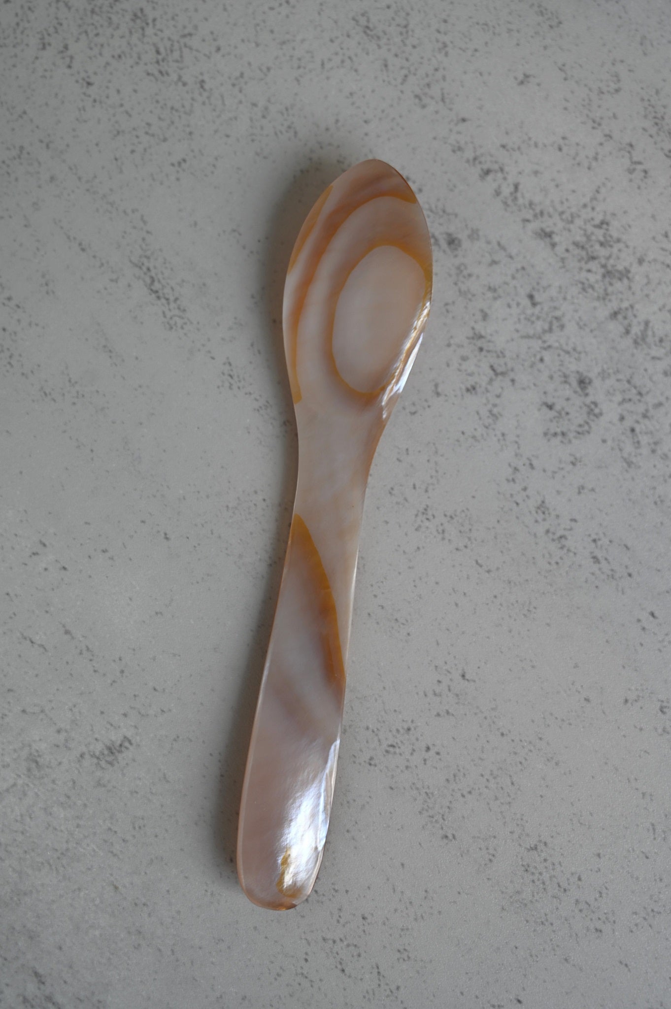 Brown Seashell Spoons