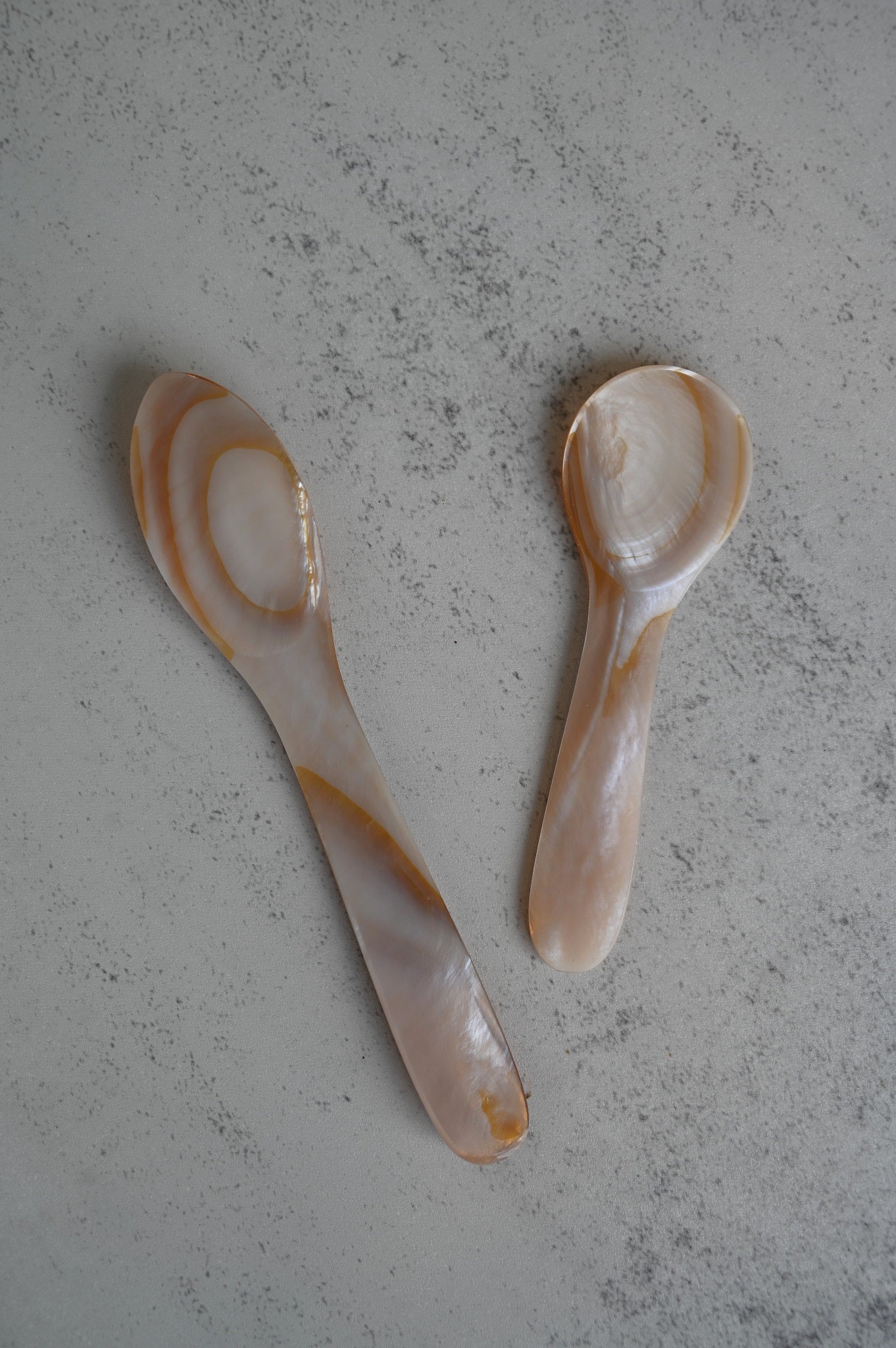 Brown Seashell Spoons
