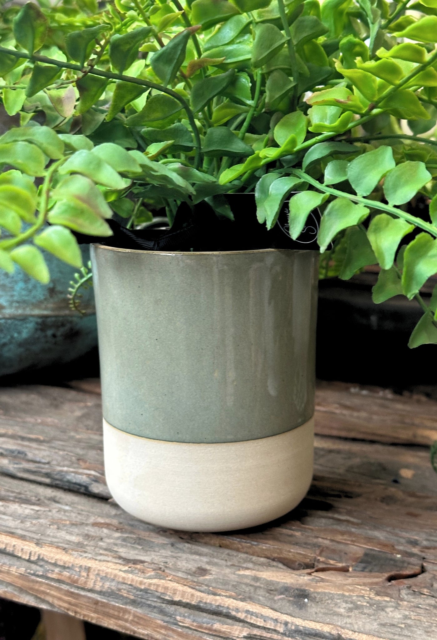 Pot de fleurs vert et beige
