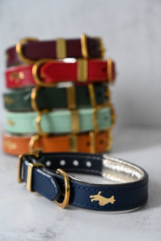 Luxury Padded Leather Dog Collars by Storeys and Tails
