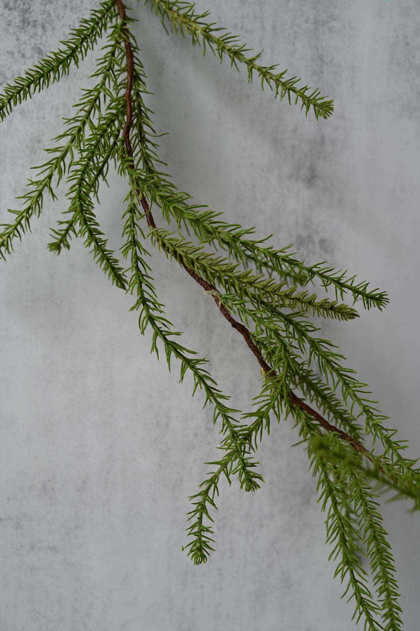 Club Moss Garland