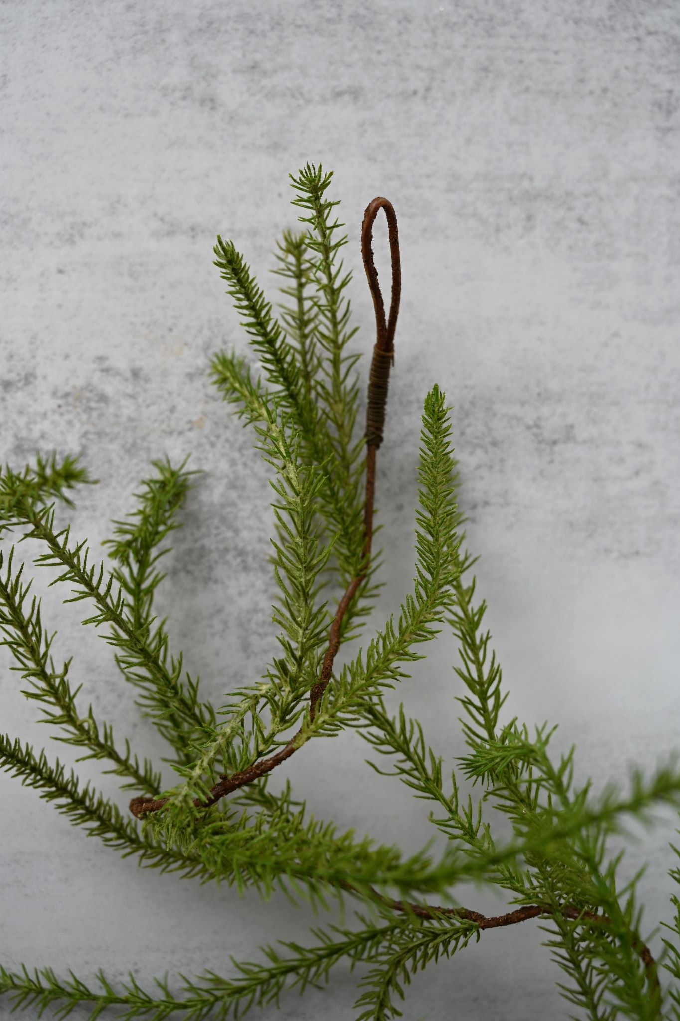 Club Moss Garland