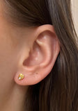 Gold Shell Stud Earrings