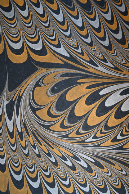 Black Peacock Swirl Gift Wrap