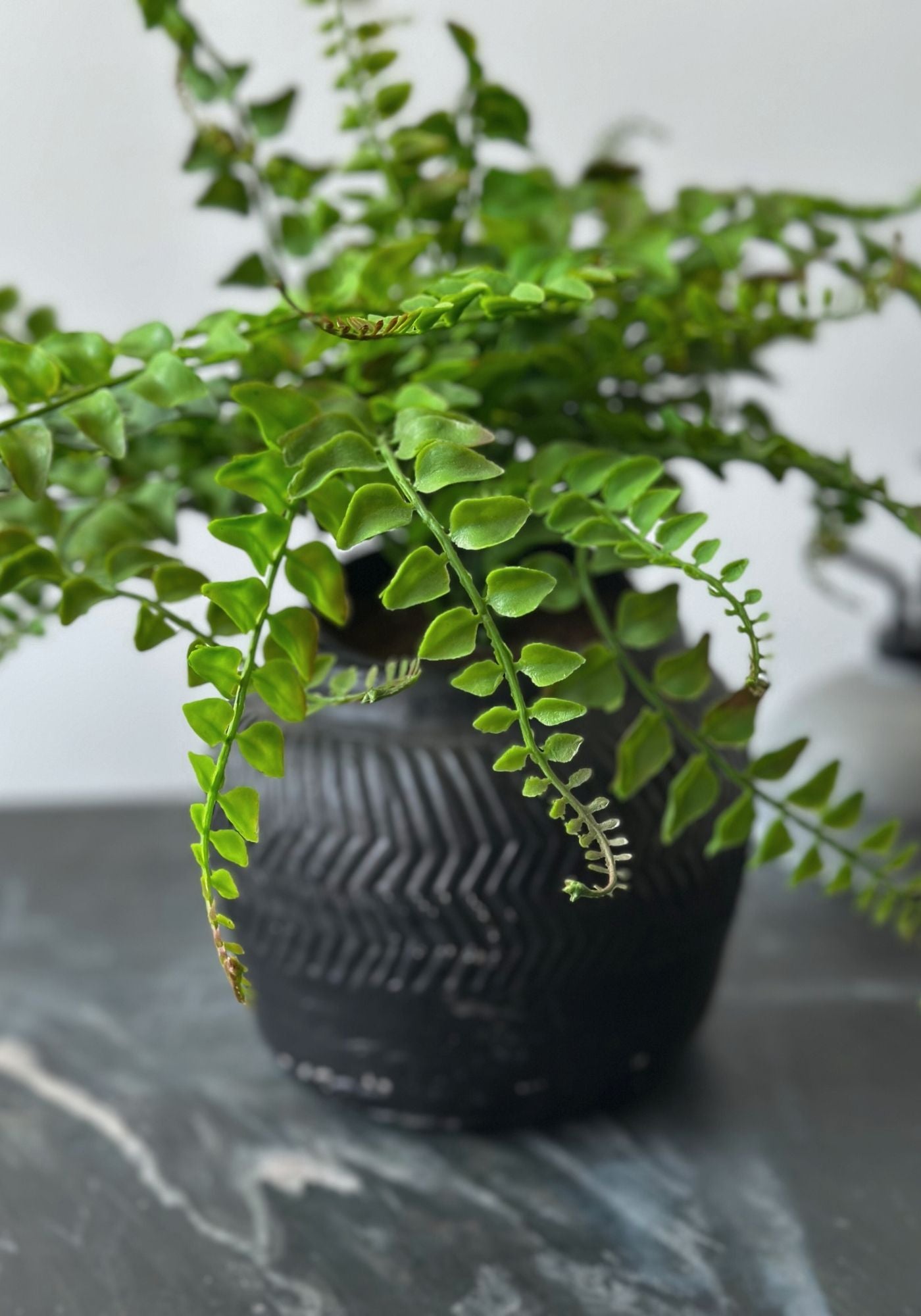 Large Black Chevron Plant Pot
