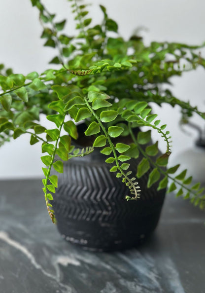 Large Black Chevron Plant Pot
