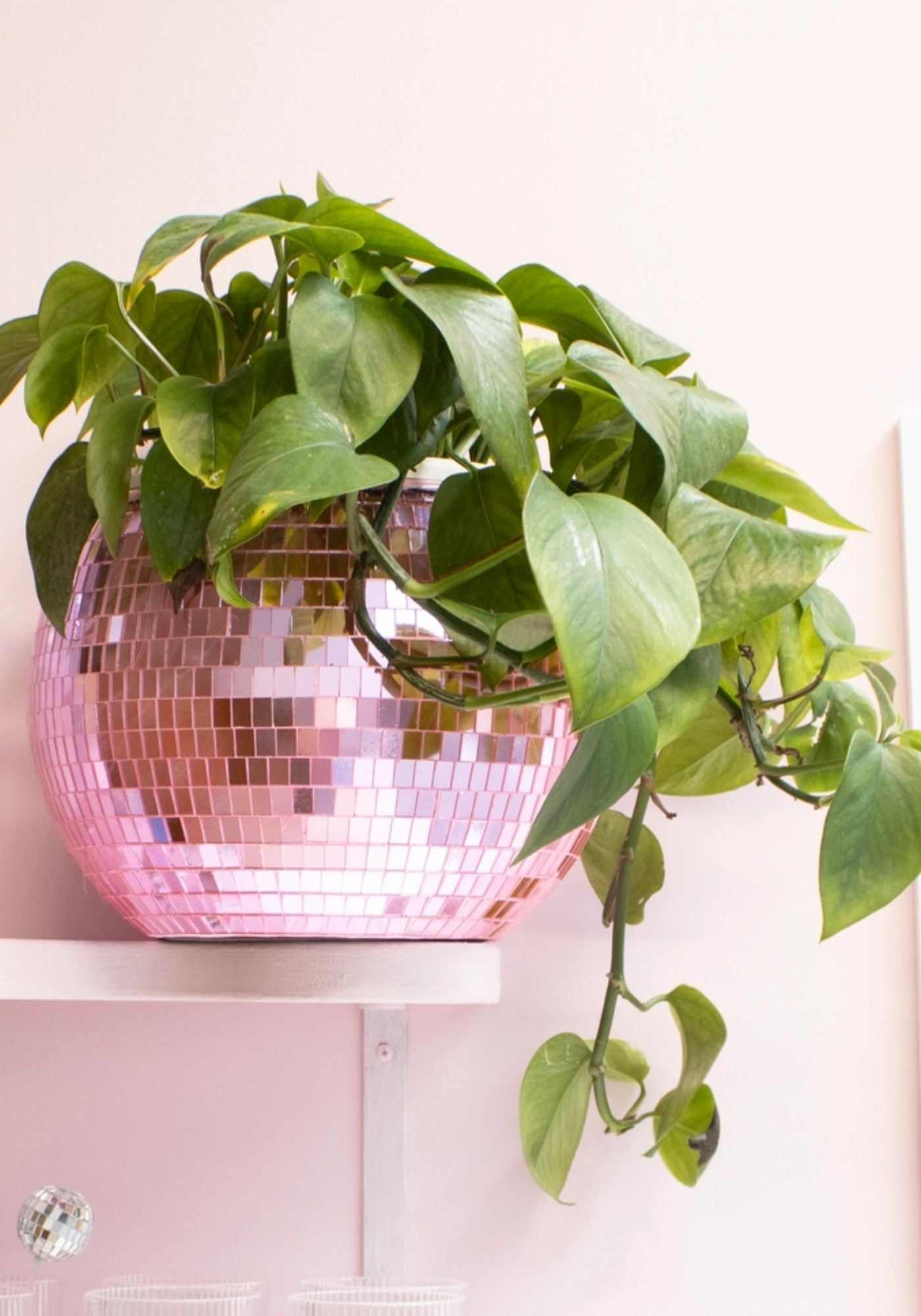 Pink Disco Ice Bucket