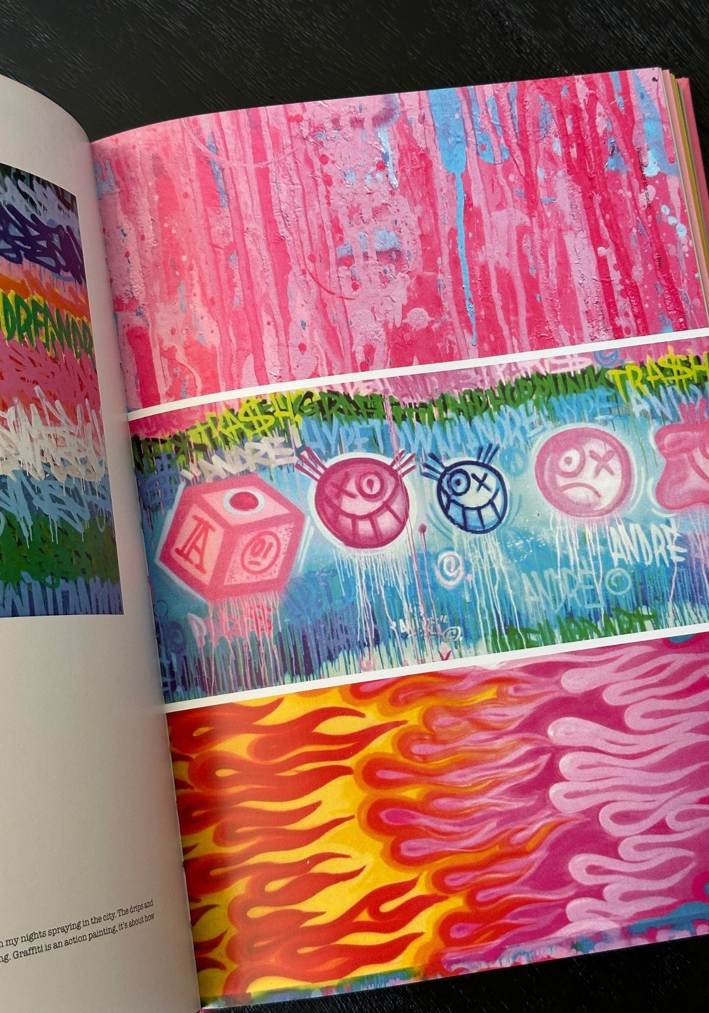 Andre Saraiva: Graffiti Life Book