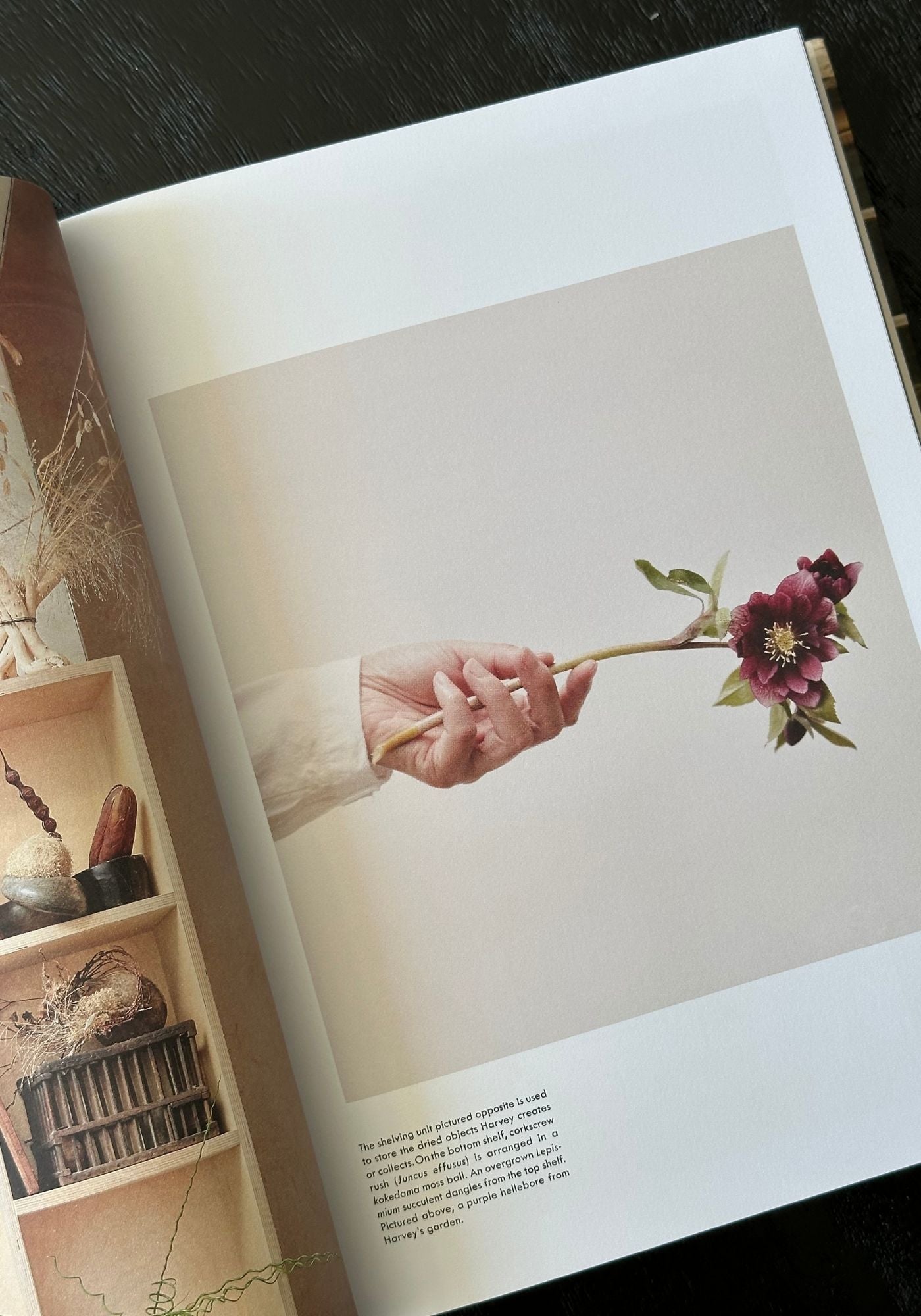 Book open to a page with a hand holding a flower against a plain background