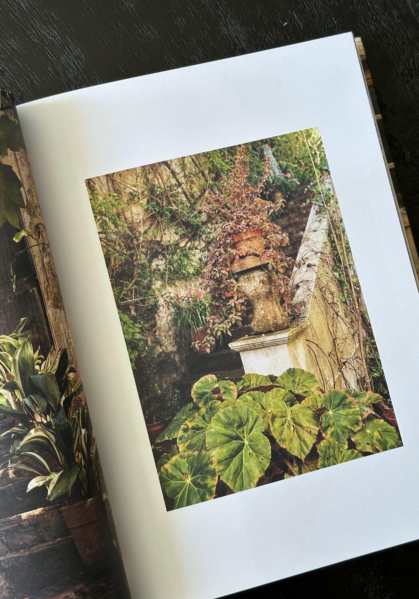 Open book with a photograph of a garden scene featuring a stone structure and green foliage.